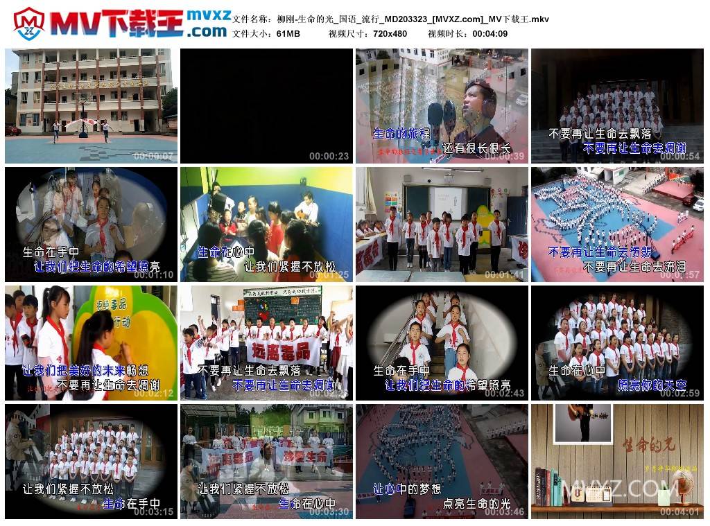 柳刚-生命的光_国语_流行_MD203323